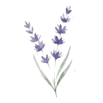 Lavender Health